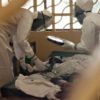 OMS considera usar tratamento experimental contra o ebola