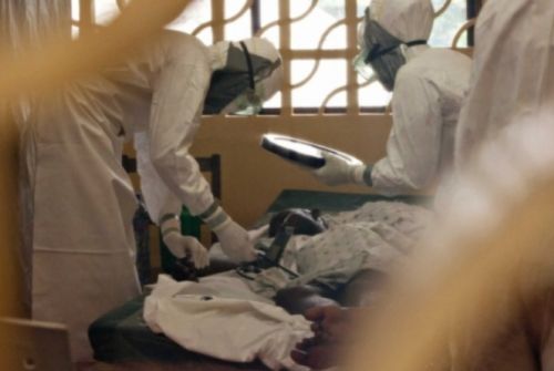 OMS considera usar tratamento experimental contra o ebola