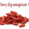 Fruta Goji Berry tem ação Antioxidante, mas não ajuda a Emagrecer