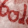 Fármaco de erva asiática é eficaz contra ebola