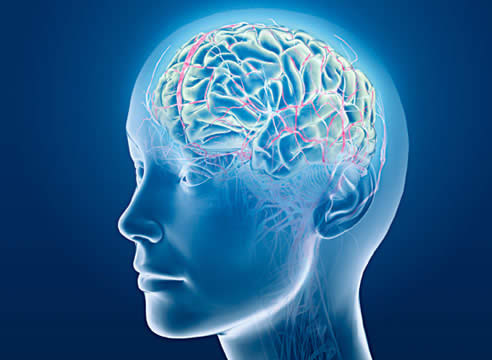 Anticoncepcional afeta estrutura do cérebro