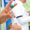 México aprova a primeira vacina contra dengue no mundo