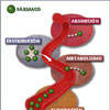 Metabolização ou Biotransformação de Drogas