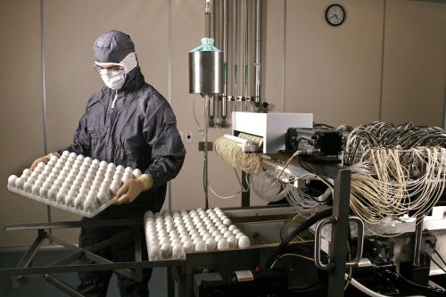 Vacina trivalente de H1N1: usa mais de 50 milhões de ovos
