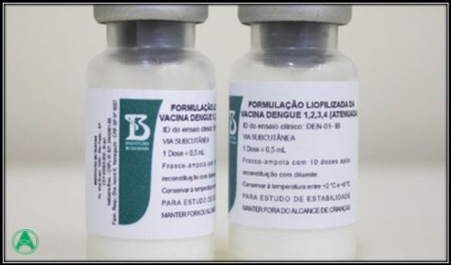 Vacina brasileira da dengue