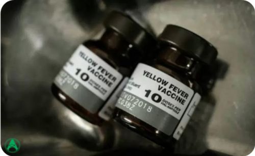 Ministério analisa incluir vacina da febre amarela no calendário